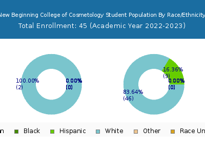 New Beginning College of Cosmetology 2023 Student Population by Gender and Race chart