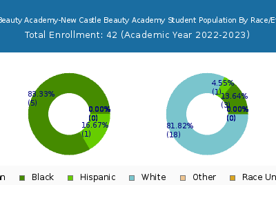 Butler Beauty Academy-New Castle Beauty Academy 2023 Student Population by Gender and Race chart