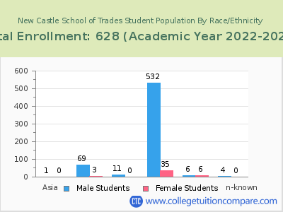 New Castle School of Trades 2023 Student Population by Gender and Race chart