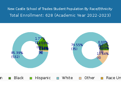 New Castle School of Trades 2023 Student Population by Gender and Race chart