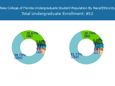 New College of Florida 2025 Undergraduate Enrollment by Gender and Race chart