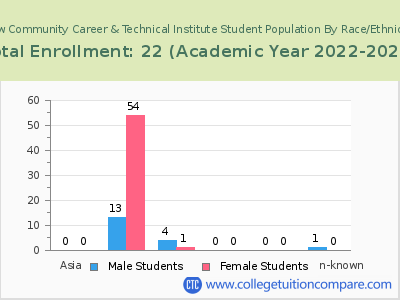 New Community Career & Technical Institute 2023 Student Population by Gender and Race chart