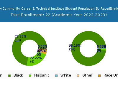 New Community Career & Technical Institute 2023 Student Population by Gender and Race chart