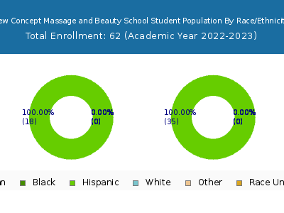 New Concept Massage and Beauty School 2023 Student Population by Gender and Race chart
