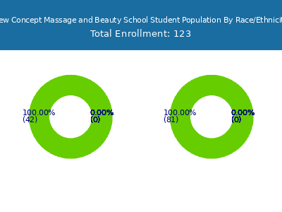 New Concept Massage and Beauty School 2025 Student Population by Gender and Race chart