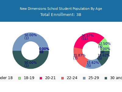 New Dimensions School 2024 Student Population Age Diversity Pie chart