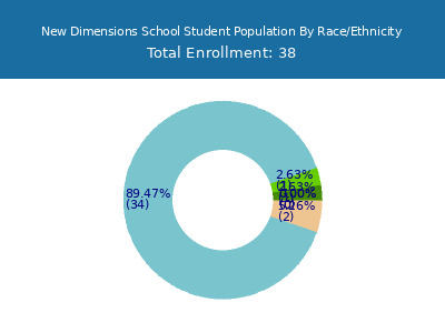 New Dimensions School 2025 Student Population by Gender and Race chart