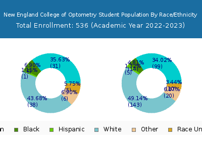 New England College of Optometry 2023 Student Population by Gender and Race chart