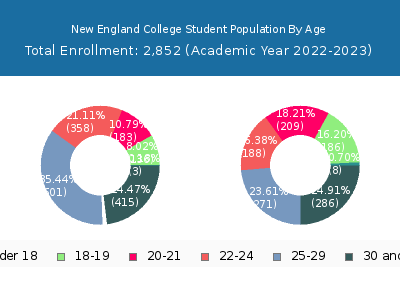New England College 2023 Student Population Age Diversity Pie chart