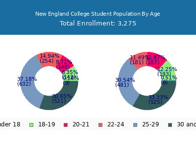 New England College 2025 Student Population Age Diversity Pie chart