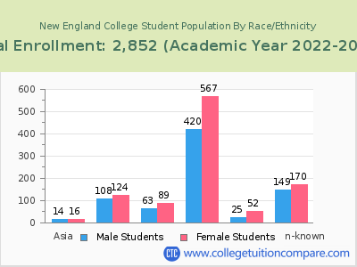 New England College 2023 Student Population by Gender and Race chart