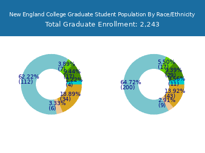 New England College 2025 Graduate Enrollment by Gender and Race chart