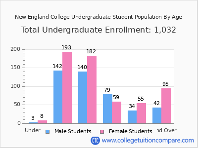 New England College 2025 Undergraduate Enrollment by Age chart