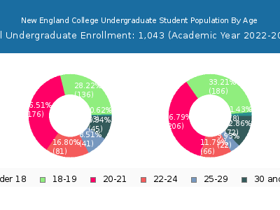 New England College 2023 Undergraduate Enrollment Age Diversity Pie chart