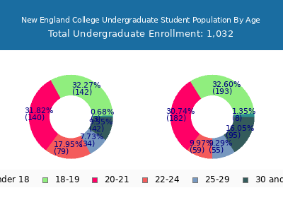 New England College 2025 Undergraduate Enrollment Age Diversity Pie chart