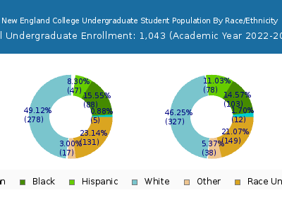 New England College 2023 Undergraduate Enrollment by Gender and Race chart