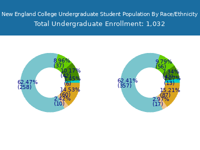 New England College 2025 Undergraduate Enrollment by Gender and Race chart