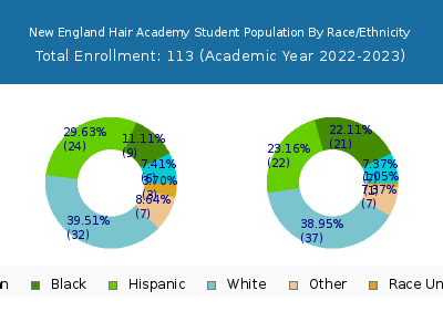 New England Hair Academy 2023 Student Population by Gender and Race chart
