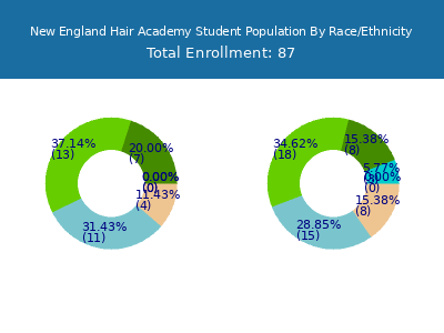 New England Hair Academy 2025 Student Population by Gender and Race chart
