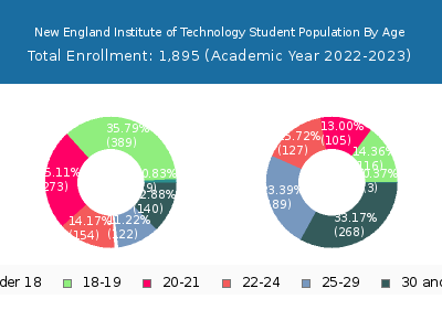 New England Institute of Technology 2023 Student Population Age Diversity Pie chart