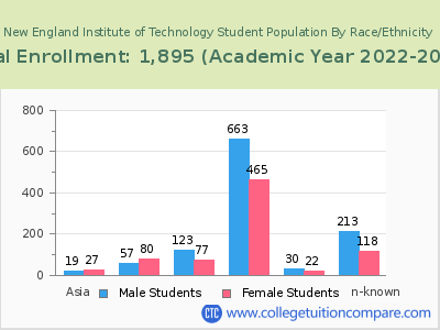 New England Institute of Technology 2023 Student Population by Gender and Race chart