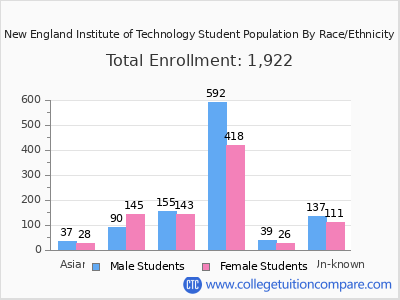 New England Institute of Technology 2025 Student Population by Gender and Race chart