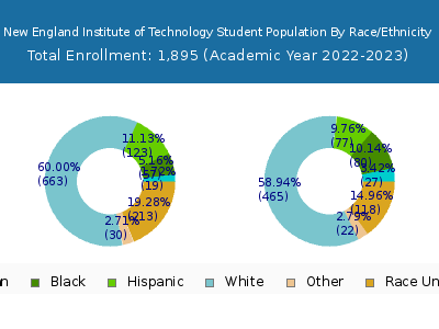 New England Institute of Technology 2023 Student Population by Gender and Race chart