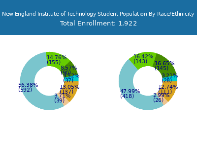 New England Institute of Technology 2025 Student Population by Gender and Race chart