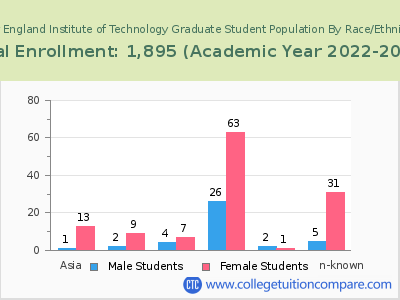 New England Institute of Technology 2023 Graduate Enrollment by Gender and Race chart