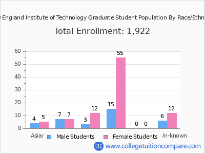 New England Institute of Technology 2025 Graduate Enrollment by Gender and Race chart