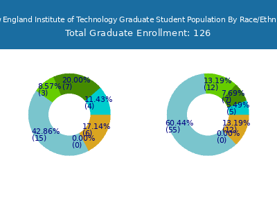New England Institute of Technology 2025 Graduate Enrollment by Gender and Race chart