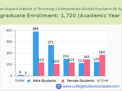 New England Institute of Technology 2023 Undergraduate Enrollment by Age chart