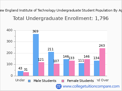 New England Institute of Technology 2025 Undergraduate Enrollment by Age chart