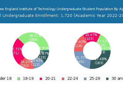 New England Institute of Technology 2023 Undergraduate Enrollment Age Diversity Pie chart