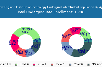 New England Institute of Technology 2025 Undergraduate Enrollment Age Diversity Pie chart