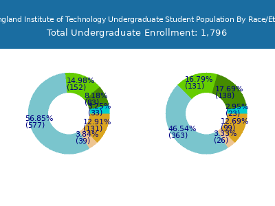 New England Institute of Technology 2025 Undergraduate Enrollment by Gender and Race chart