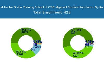 New England Tractor Trailer Training School of CT-Bridgeport 2025 Student Population by Gender and Race chart
