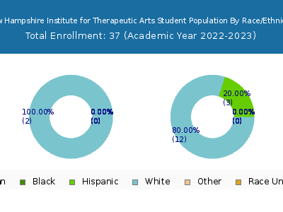 New Hampshire Institute for Therapeutic Arts 2023 Student Population by Gender and Race chart
