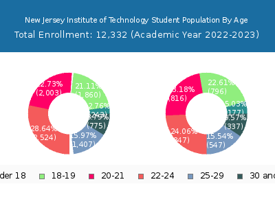 New Jersey Institute of Technology 2023 Student Population Age Diversity Pie chart