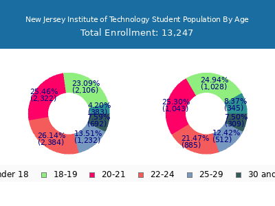 New Jersey Institute of Technology 2025 Student Population Age Diversity Pie chart