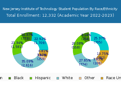 New Jersey Institute of Technology 2023 Student Population by Gender and Race chart
