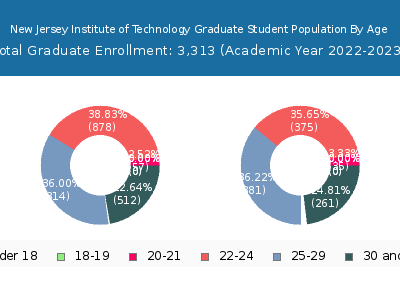 New Jersey Institute of Technology 2023 Graduate Enrollment Age Diversity Pie chart