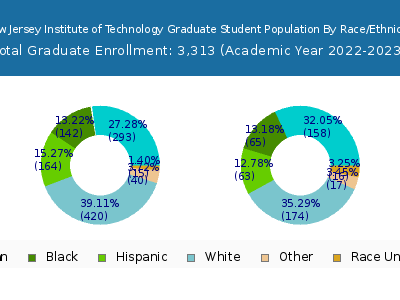 New Jersey Institute of Technology 2023 Graduate Enrollment by Gender and Race chart
