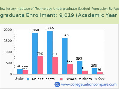 New Jersey Institute of Technology 2023 Undergraduate Enrollment by Age chart