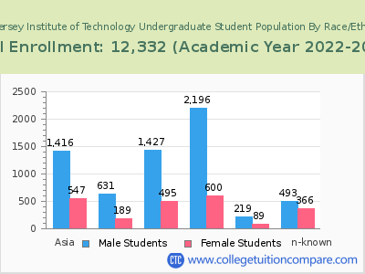 New Jersey Institute of Technology 2023 Undergraduate Enrollment by Gender and Race chart