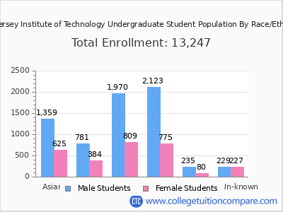 New Jersey Institute of Technology 2025 Undergraduate Enrollment by Gender and Race chart