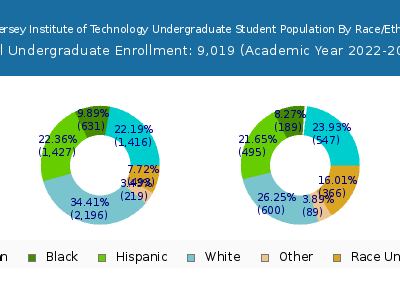 New Jersey Institute of Technology 2023 Undergraduate Enrollment by Gender and Race chart