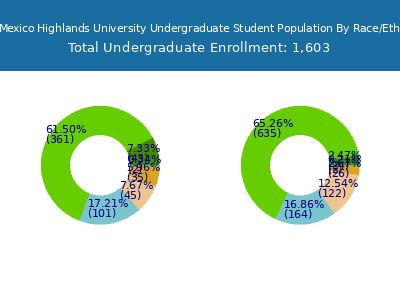 New Mexico Highlands University 2025 Undergraduate Enrollment by Gender and Race chart