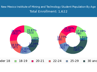 New Mexico Institute of Mining and Technology 2025 Student Population Age Diversity Pie chart