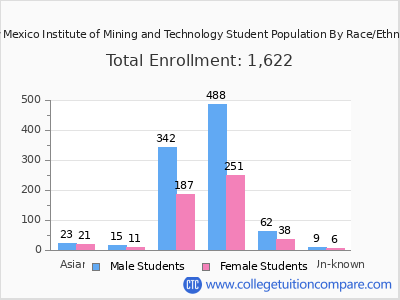 New Mexico Institute of Mining and Technology 2025 Student Population by Gender and Race chart